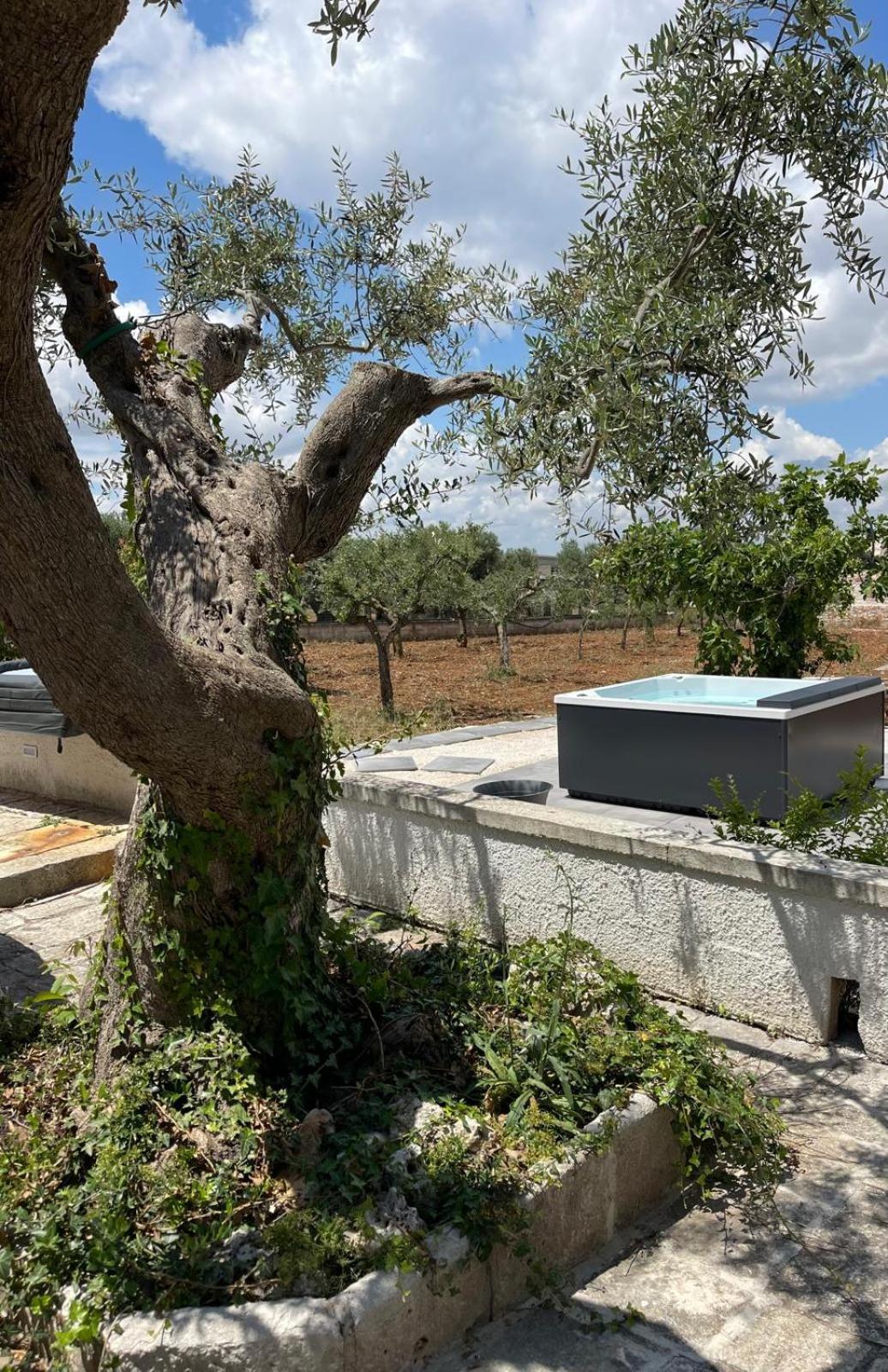 Il Trullozio Apartman Castellana Grotte Kültér fotó